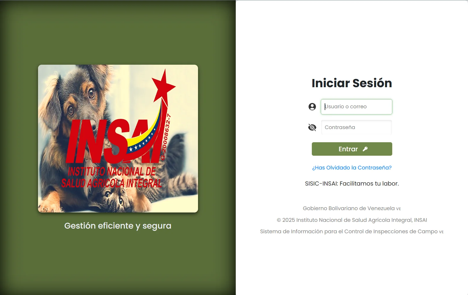 SICIC-INSAI V1.0